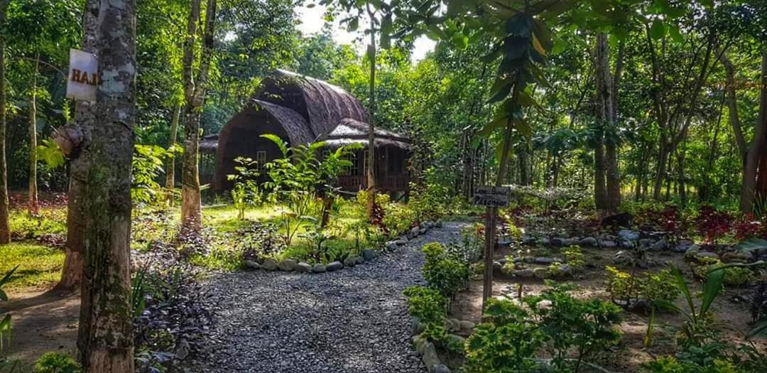 Etalauser Jungle Gate Ecoresort ブキットラワン エクステリア 写真