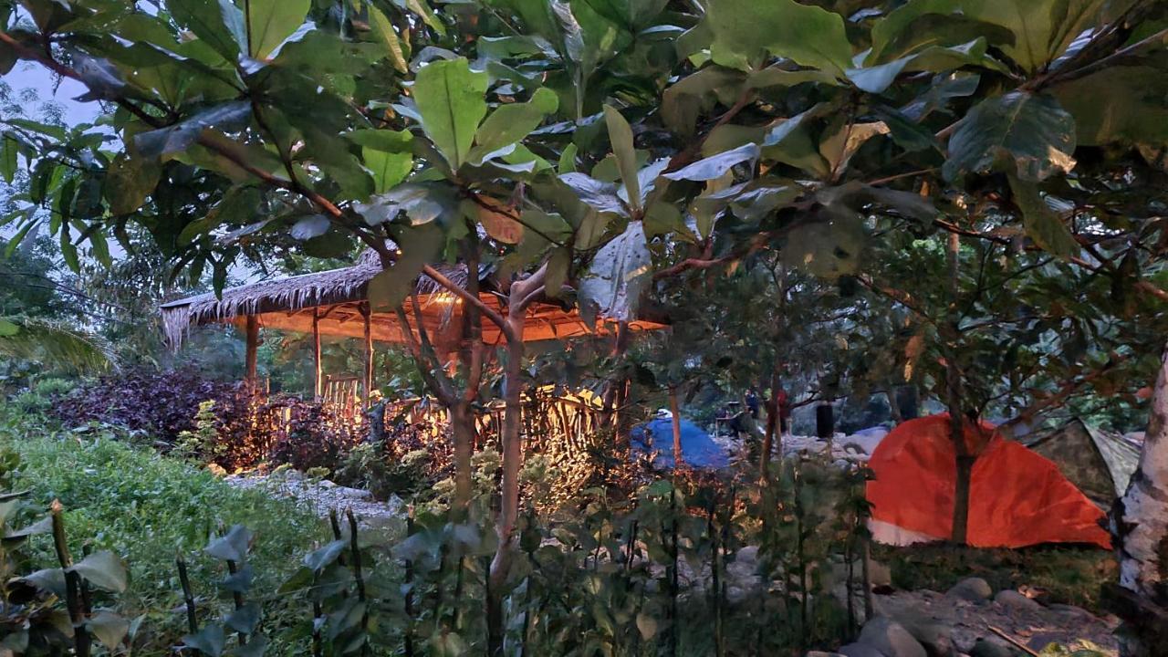 Etalauser Jungle Gate Ecoresort ブキットラワン エクステリア 写真