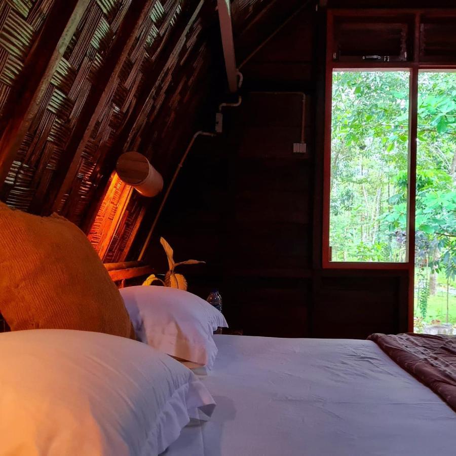 Etalauser Jungle Gate Ecoresort ブキットラワン エクステリア 写真