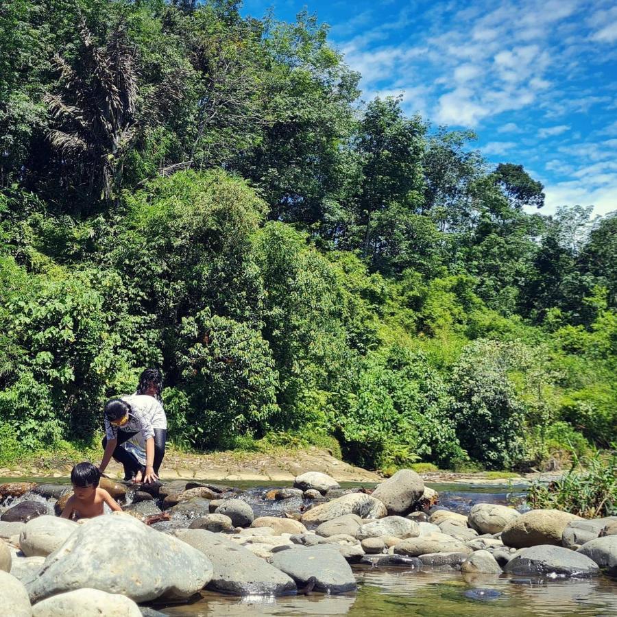 Etalauser Jungle Gate Ecoresort ブキットラワン エクステリア 写真