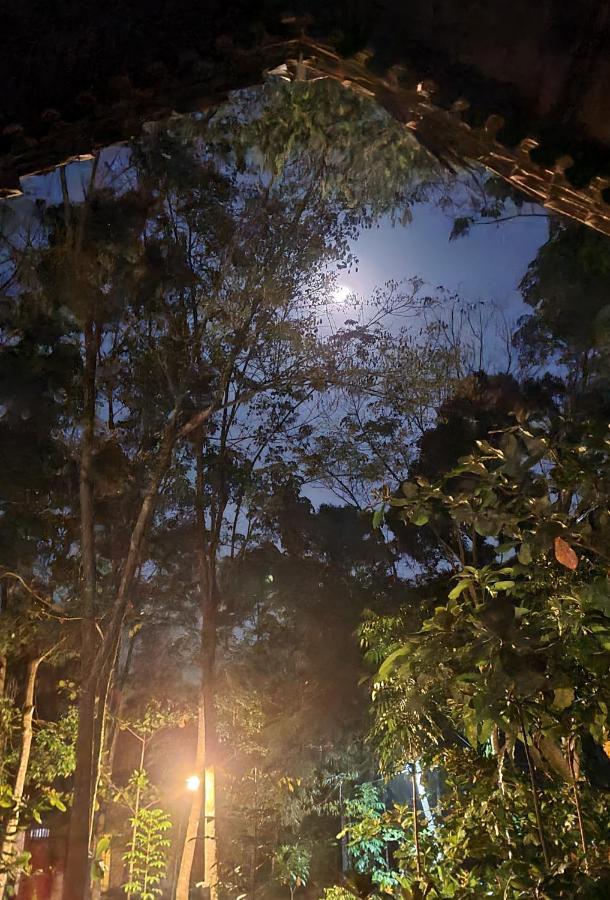 Etalauser Jungle Gate Ecoresort ブキットラワン エクステリア 写真