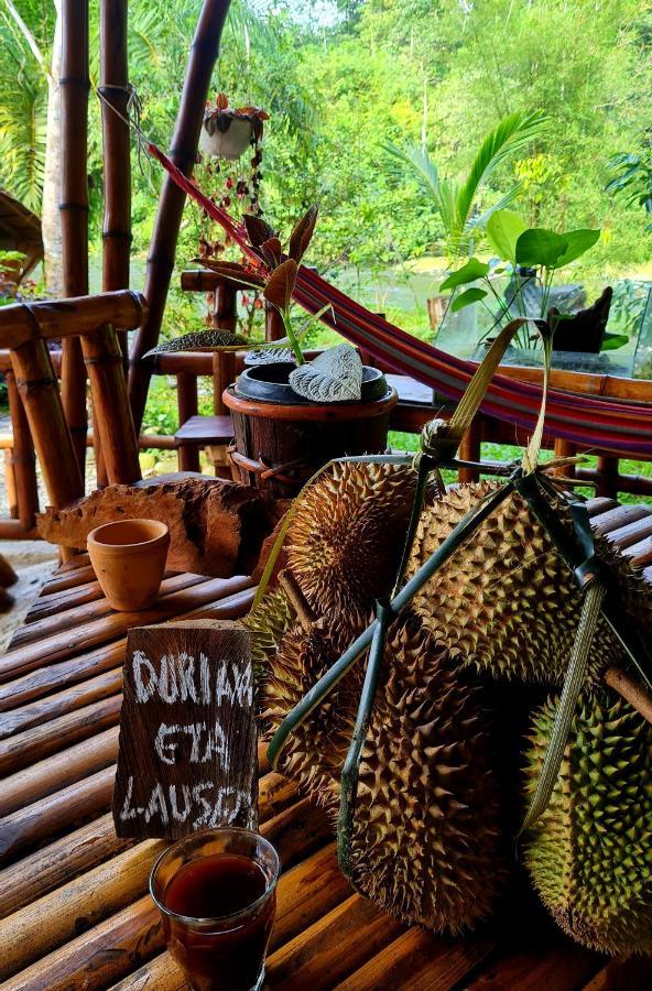 Etalauser Jungle Gate Ecoresort ブキットラワン エクステリア 写真