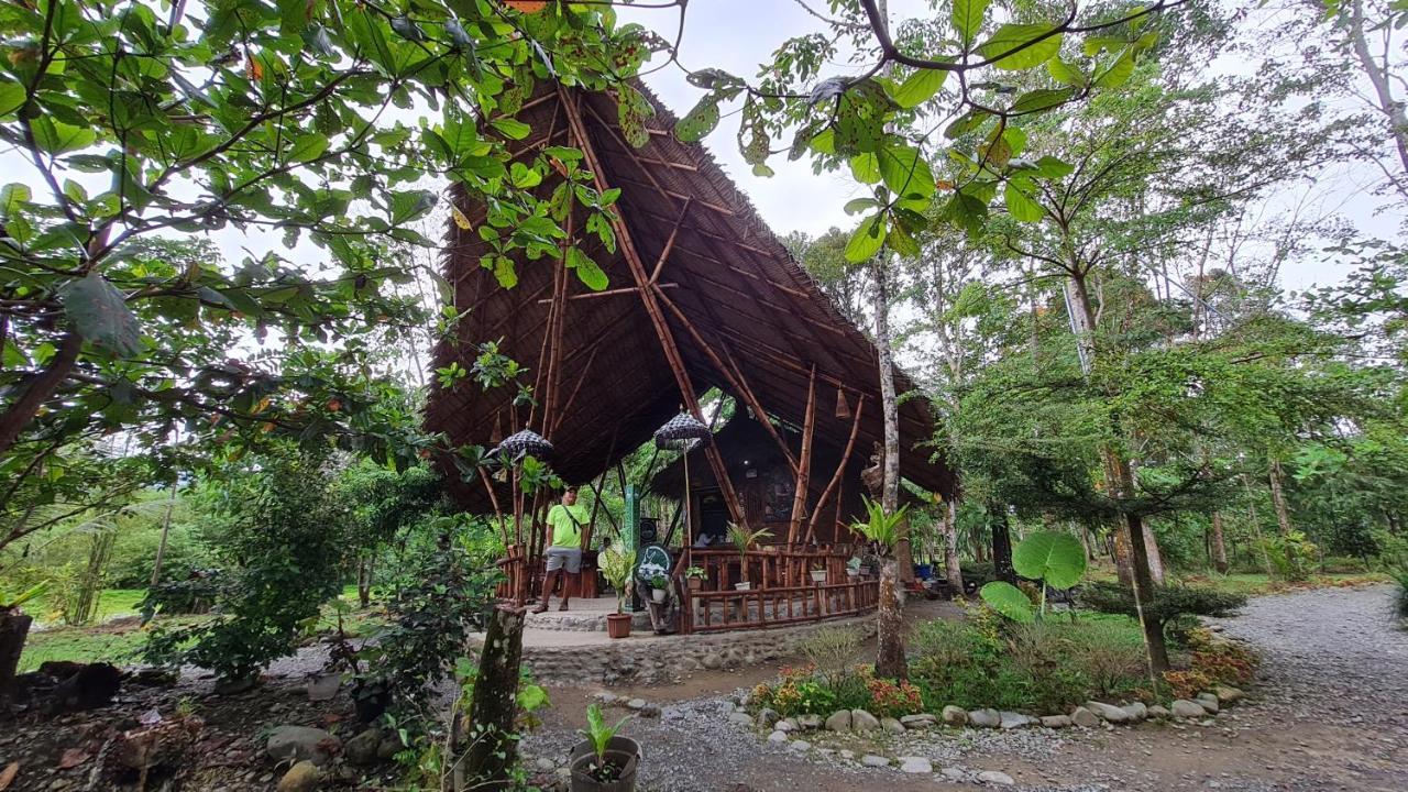 Etalauser Jungle Gate Ecoresort ブキットラワン エクステリア 写真