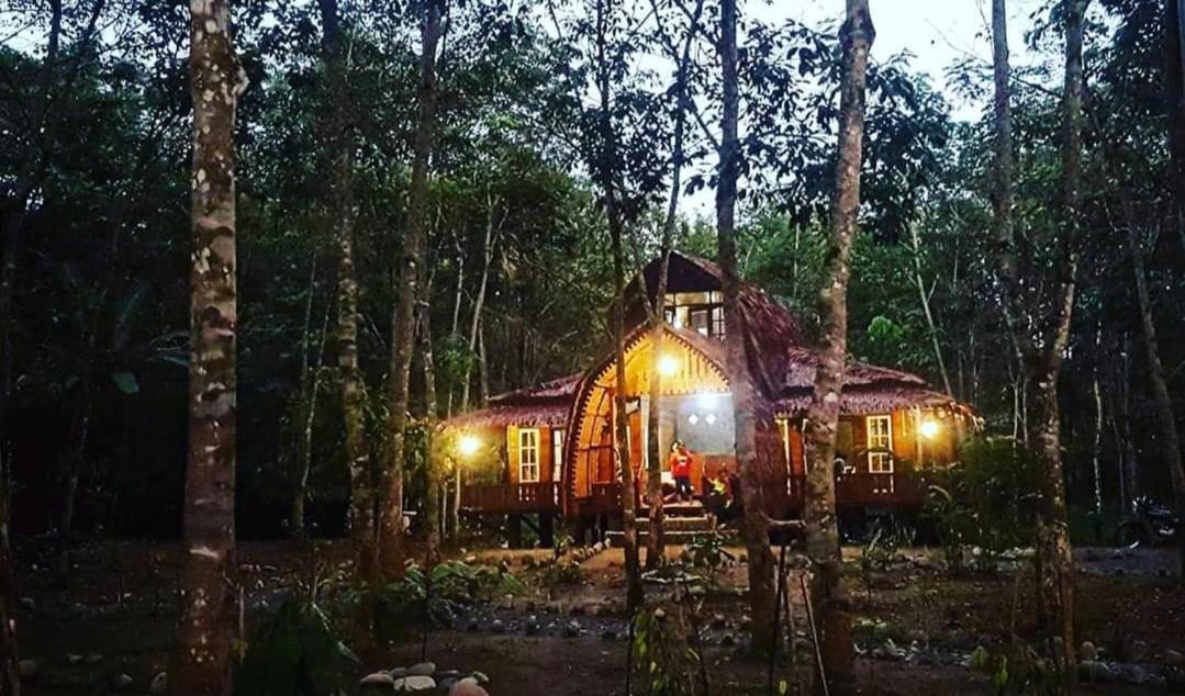 Etalauser Jungle Gate Ecoresort ブキットラワン エクステリア 写真