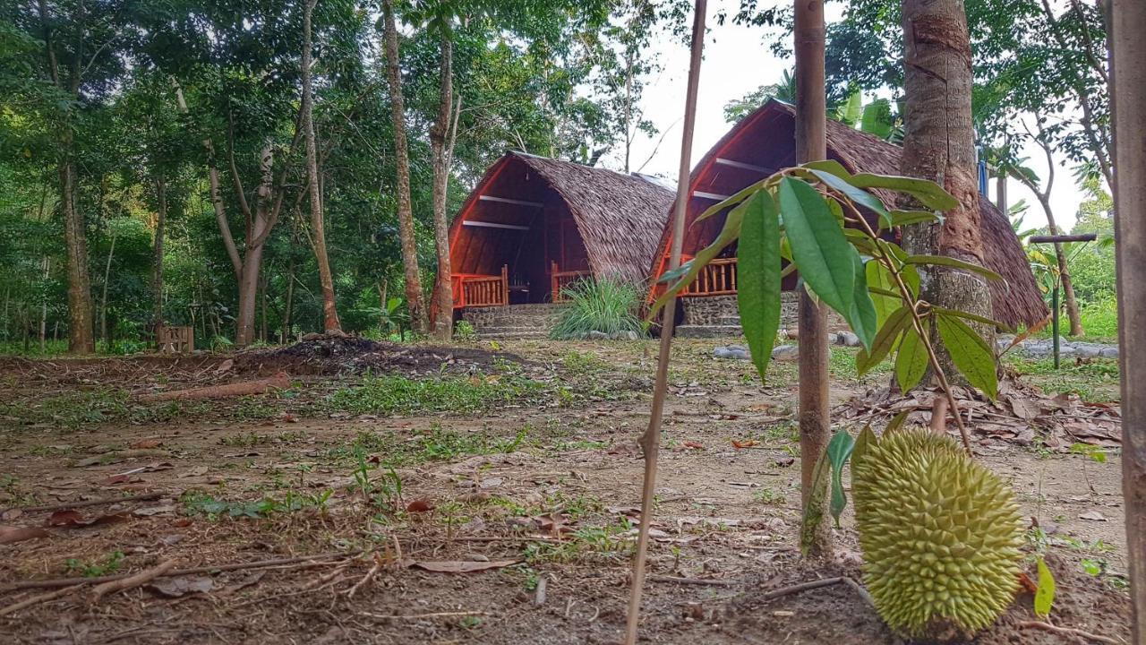 Etalauser Jungle Gate Ecoresort ブキットラワン エクステリア 写真