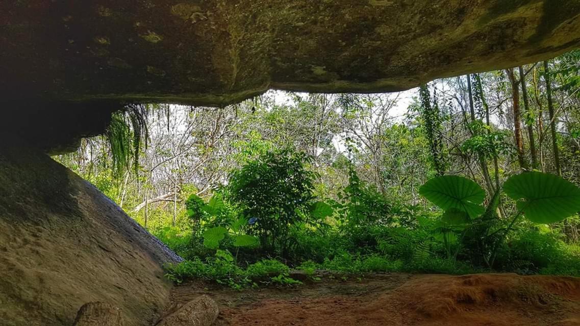 Etalauser Jungle Gate Ecoresort ブキットラワン エクステリア 写真