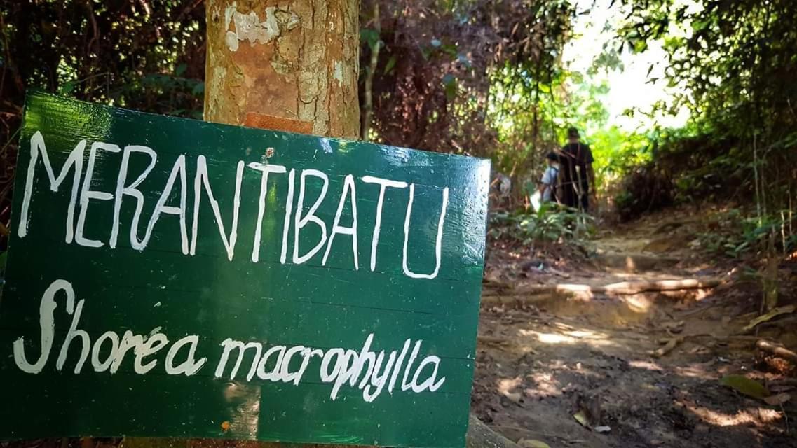 Etalauser Jungle Gate Ecoresort ブキットラワン エクステリア 写真