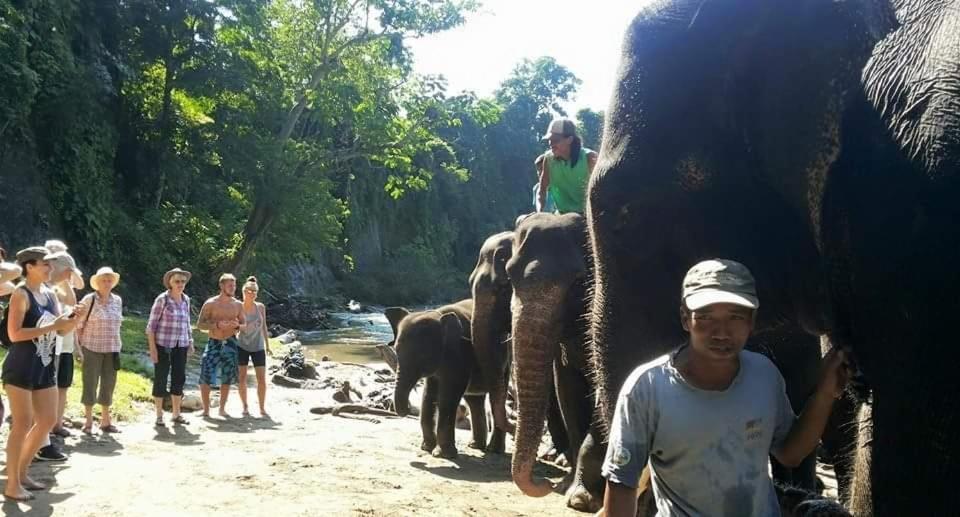 Etalauser Jungle Gate Ecoresort ブキットラワン エクステリア 写真