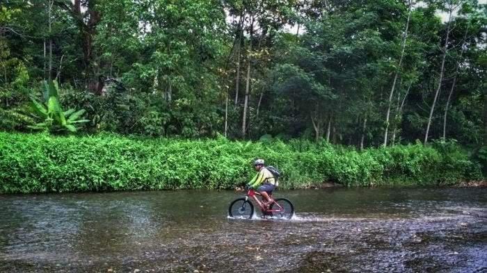 Etalauser Jungle Gate Ecoresort ブキットラワン エクステリア 写真