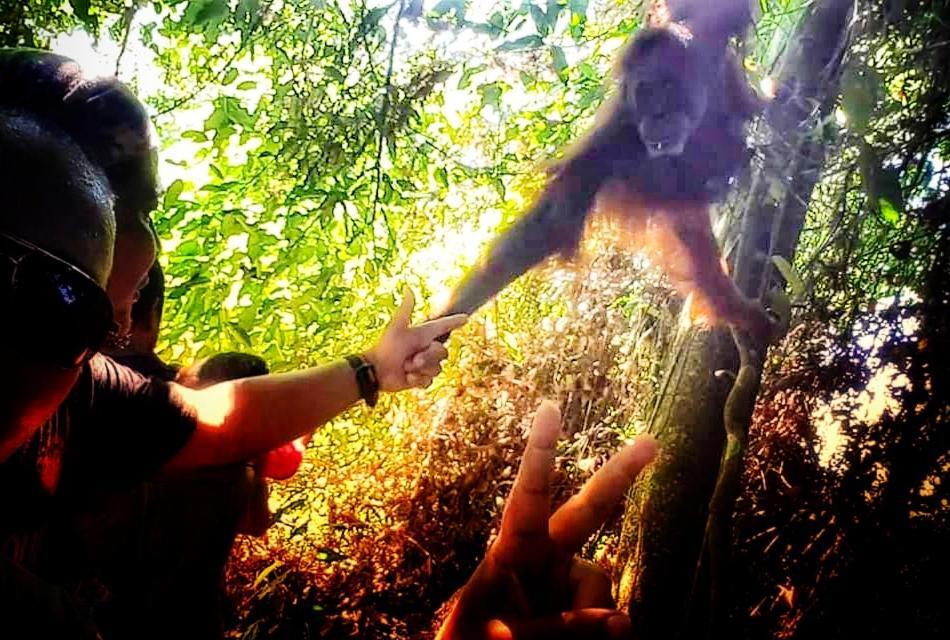 Etalauser Jungle Gate Ecoresort ブキットラワン エクステリア 写真