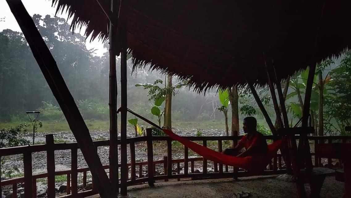 Etalauser Jungle Gate Ecoresort ブキットラワン エクステリア 写真