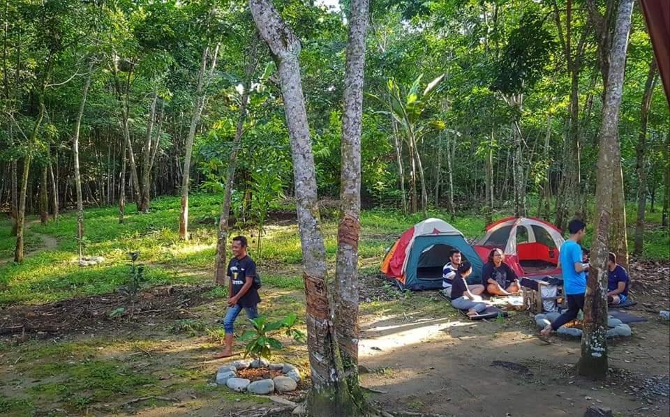 Etalauser Jungle Gate Ecoresort ブキットラワン エクステリア 写真