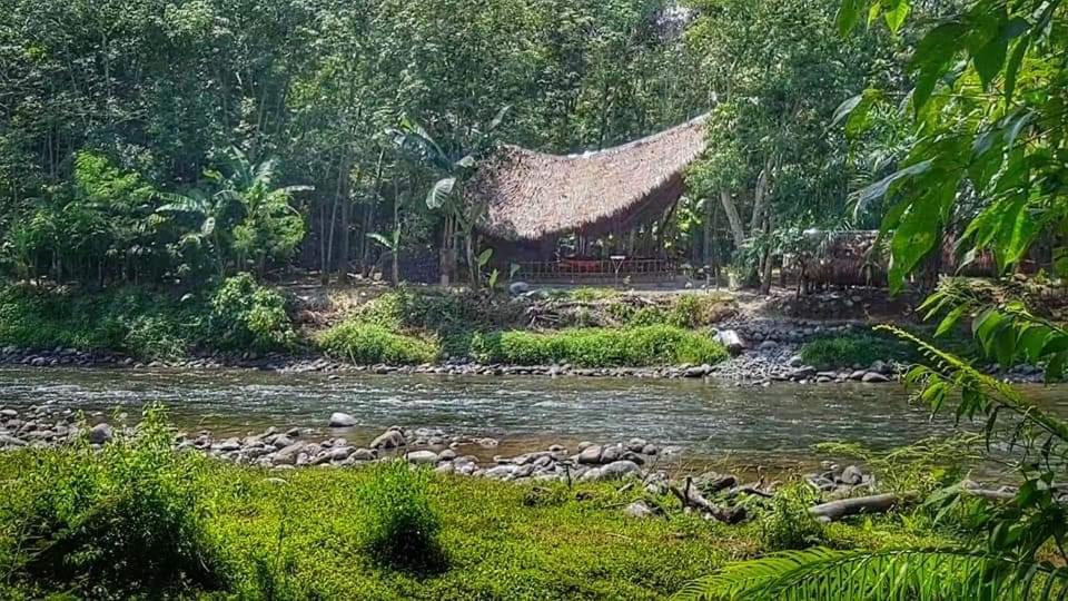 Etalauser Jungle Gate Ecoresort ブキットラワン エクステリア 写真