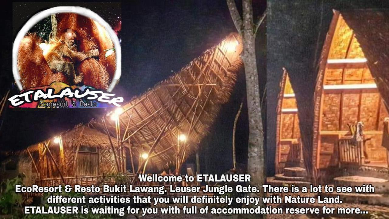 Etalauser Jungle Gate Ecoresort ブキットラワン エクステリア 写真